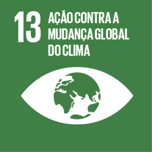 ODS 13 — Ação contra a mudança global do clima